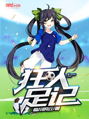 Footnotes of a madman