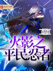 Hokage's civilian ninja