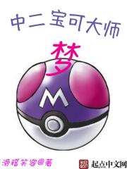 The second Poké Master Dream