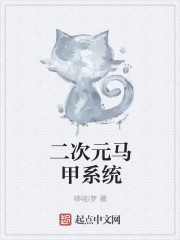 Dimensional vest system