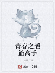 Slam Dunk's hot-blooded youth