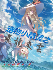 Pokemon: Wyvern Flying Dragon