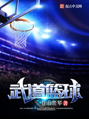 Martial arts basketball