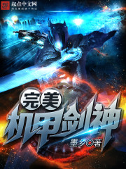 Perfect Mecha Sword God