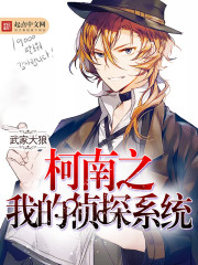 Conan's My Detective System