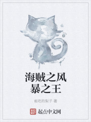 Pirates: Lord of the Storms