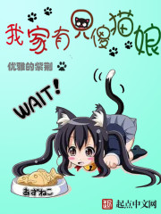 I have a silly cat lady at home