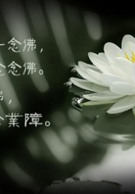 The green lotus gives birth to the white lotus and extinguishes