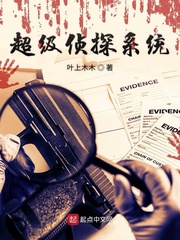 Super Detective System