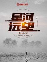 Looking at the galaxy from afar