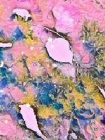 Miss Xiao, who favors his wife first, you are too crazy