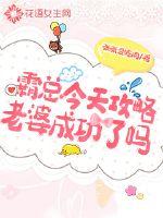 Did Mr. Ba succeed in his wife's raid today?