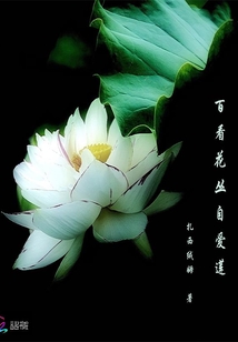 Look at the flowers and love lotus