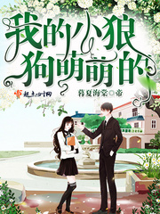 My little wolf dog is cute