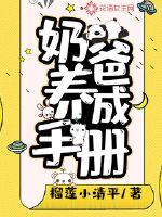 Daddy Parenting Manual