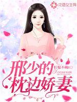 Xing Shao's pillow wife