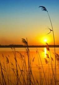 The time is just right when you fall in love