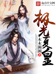 The god king of the peak of dream refining seals the sky