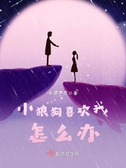 What to do if the little wolf dog likes me