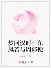 When dreaming back to Han: Dongfeng Ruo and Zhou Lang