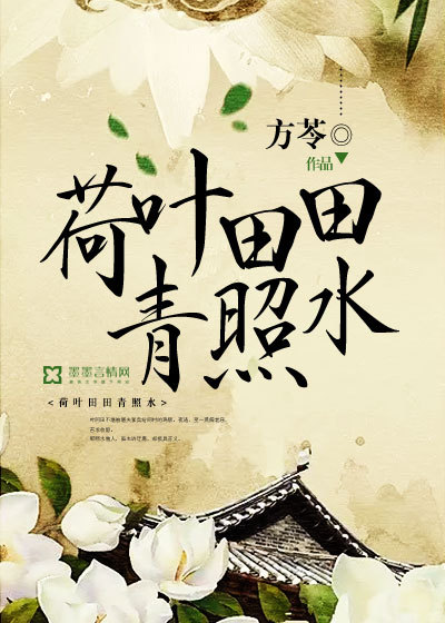 Lotus leaf field green water