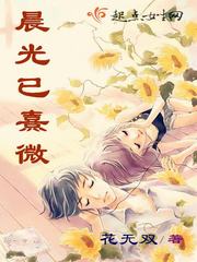 The morning light has faded