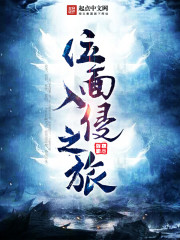 Plane Invasion Journey