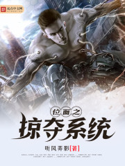 Plane Plunder System