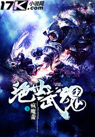 Peerless martial spirit