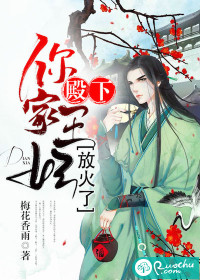 Your Royal Highness, your princess set the fire